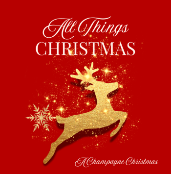 Christmas In My Lovely Home - 4
